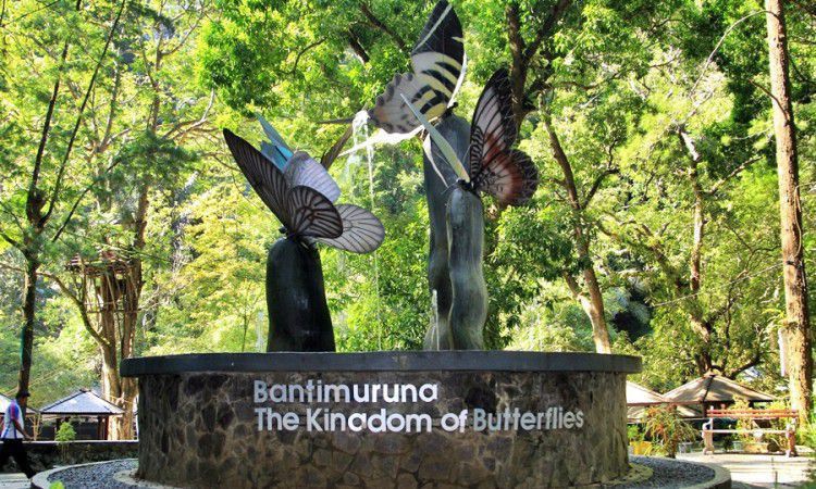 Destinasi wisata maros taman Kupu-kupu Bantimurung
